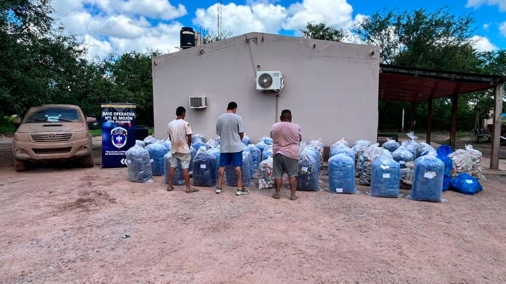 El Mojon: En un operativo secuestran gran cantidad de hojas de coca