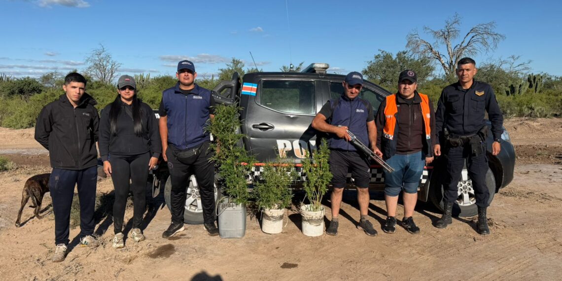 Policia fue a realizar un allanamiento y se encontraron con un cultivo de marihuana