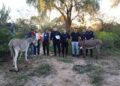 Los Telares: En un procedimiento hallan burros robados y restos de un tercer animal